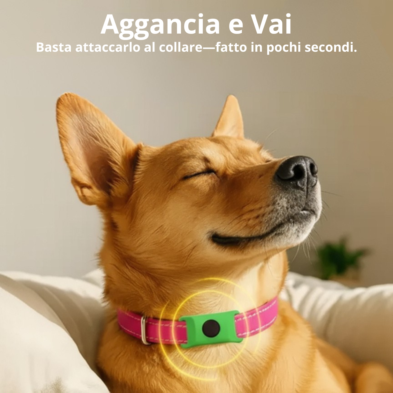 Girls' Light Brown & White Checkerboard Co-ord Set - Snoopy Print T-Shirt & Pyjama Set